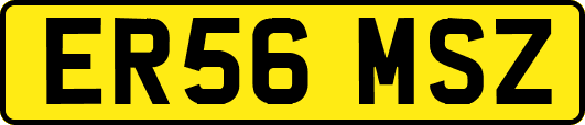 ER56MSZ