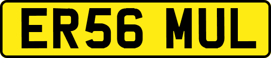 ER56MUL