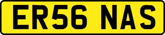 ER56NAS