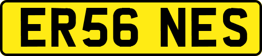 ER56NES