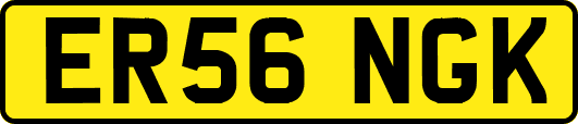 ER56NGK