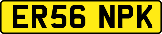 ER56NPK