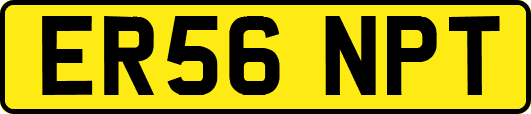 ER56NPT