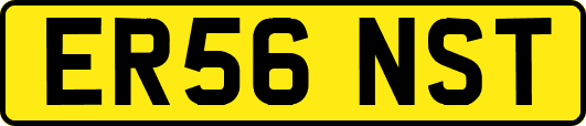 ER56NST