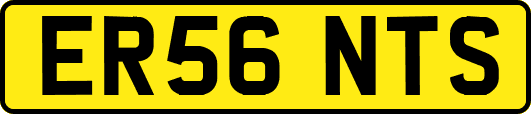 ER56NTS