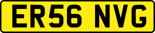 ER56NVG