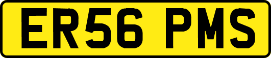 ER56PMS