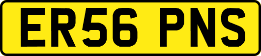 ER56PNS
