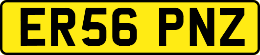 ER56PNZ