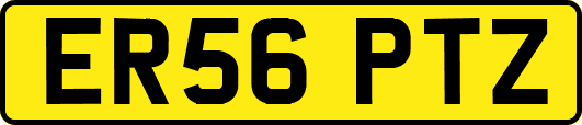 ER56PTZ