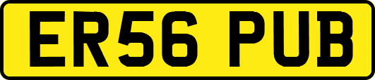 ER56PUB