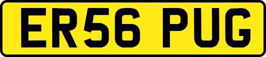 ER56PUG