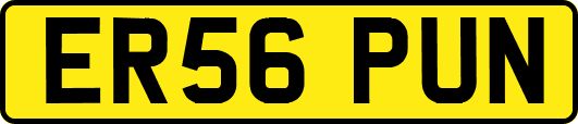 ER56PUN