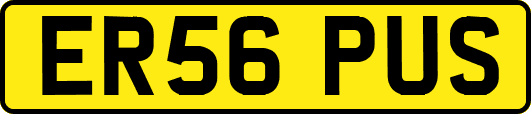 ER56PUS
