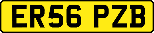 ER56PZB