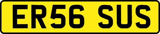 ER56SUS