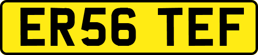 ER56TEF
