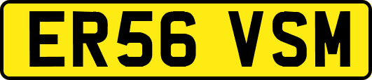 ER56VSM