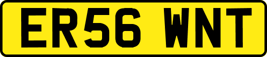 ER56WNT