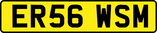 ER56WSM