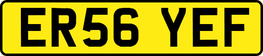 ER56YEF