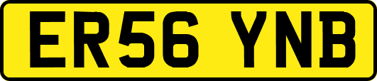 ER56YNB
