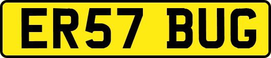 ER57BUG