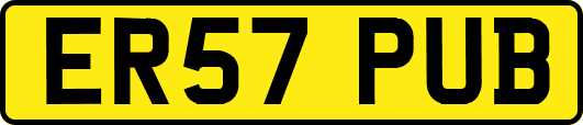 ER57PUB