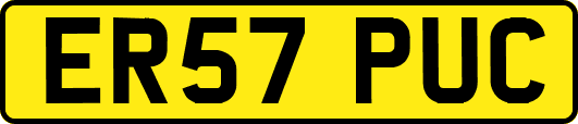 ER57PUC