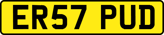 ER57PUD