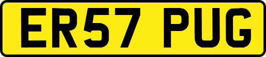 ER57PUG