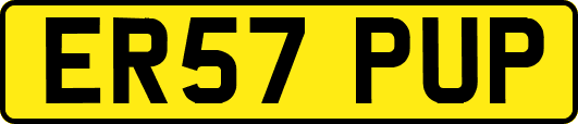ER57PUP
