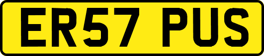 ER57PUS