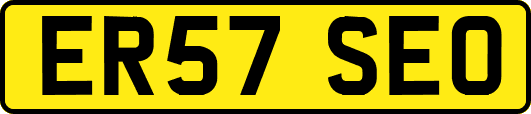 ER57SEO