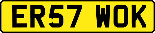 ER57WOK