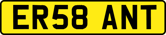 ER58ANT