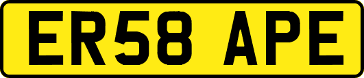 ER58APE