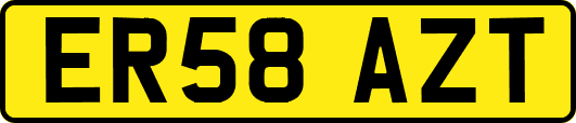 ER58AZT