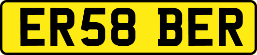 ER58BER