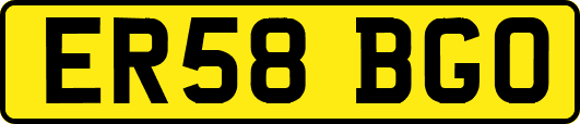 ER58BGO