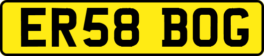 ER58BOG