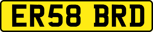 ER58BRD