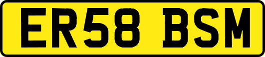 ER58BSM