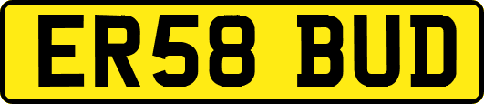 ER58BUD