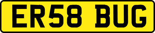 ER58BUG