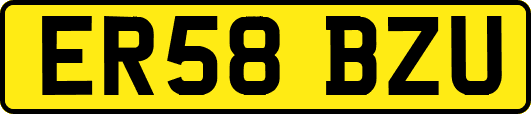 ER58BZU