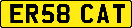 ER58CAT