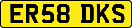 ER58DKS