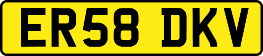 ER58DKV