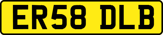 ER58DLB
